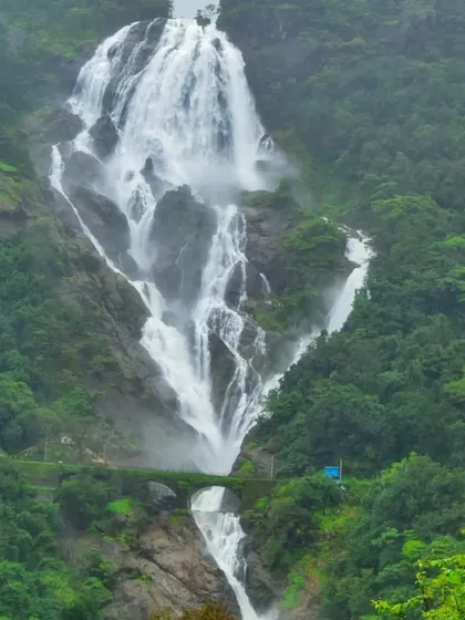 The full splendor of Dudhsagar Falls, shaped like a diamond of milk flowing down the mountains. This is a view you'll never forget.