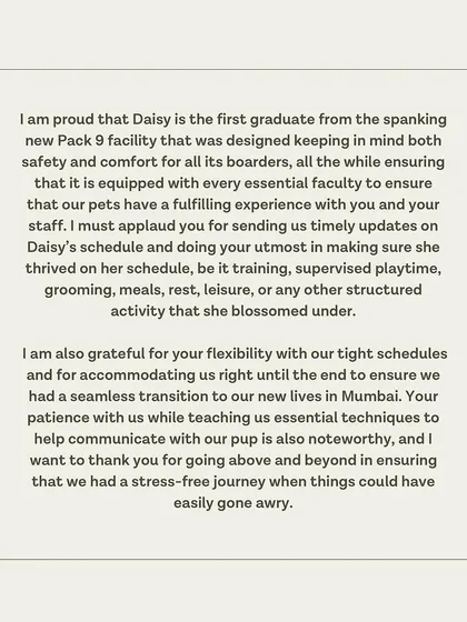 A testimonial from Daisy's guardian, praising our facility and the seamless transition we provided for their move to a new city.