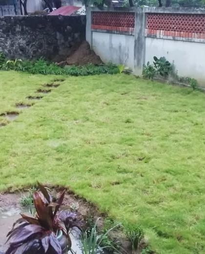 Lush Lawn Installations photo 18