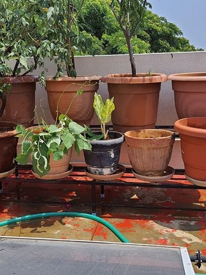 The Garden Hub - Custom Planter Stands Terrace Garden Transformations photo 16