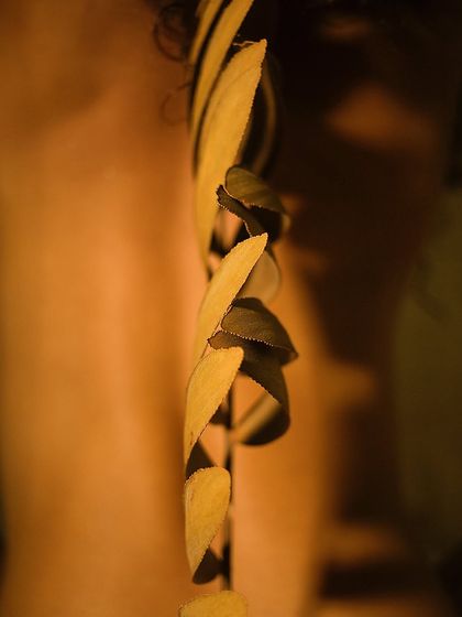 Fine Art & The Human Form photo 4