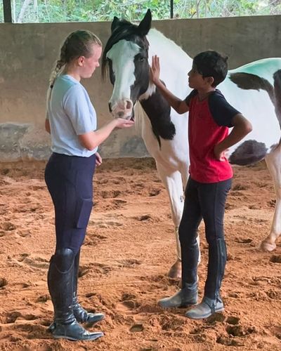 Horse-Assisted Education