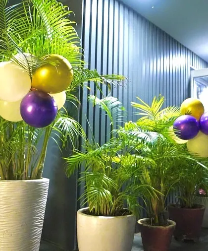 Even the plants get to be part of the decor. Here, balloon clusters are playfully attached to our potted palms, integrating the party theme throughout the space.