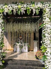 Home Event Decoration