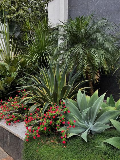 Sora Garden Design - Landscape & Garden Design Dry & Rock Gardens photo 3