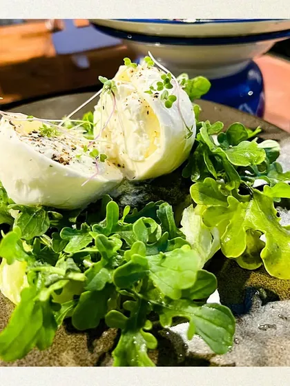 Fresh burrata cheese, cut open to reveal its creamy interior, served on a bed of peppery arugula and garnished with microgreens. A simple, elegant, and always impressive dish.