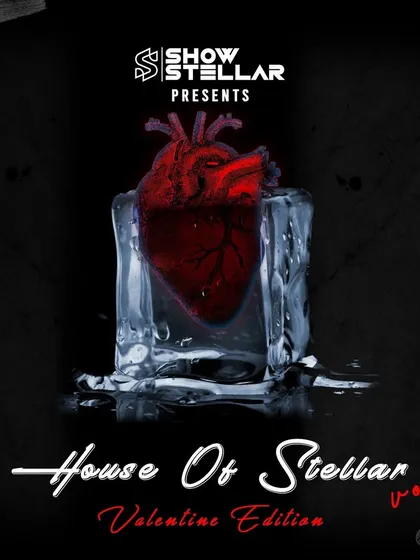 The artwork for "House Of Stellar Vol. 3," the special Valentine Edition. The melting heart in ice represents the cool, emotional vibe of the romantic tracks I remixed for this volume.