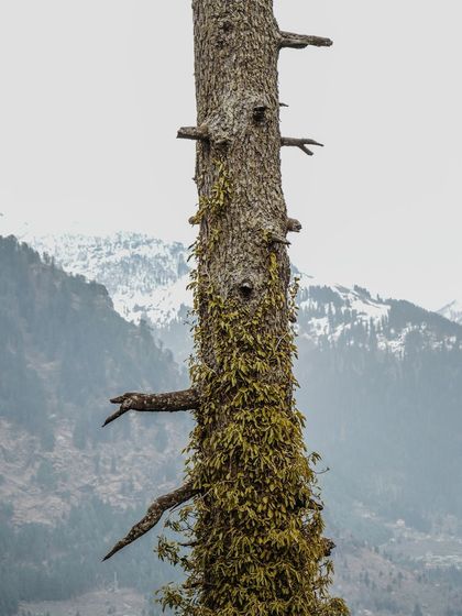 Garima Bhaskar - Photography Services Travel Diaries: Global & Local photo 78