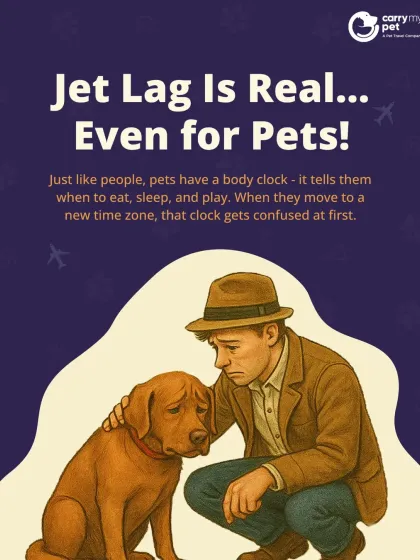 CarryMyPet - Pet Travel & Parenting Consultation Your Pet Travel Questions, Answered photo 23