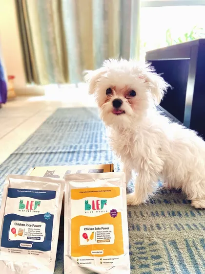 This adorable Maltese can't stop eating my food. His parent says it cured all his acid reflux issues. I'm so happy to provide a yummy, preservative-free fresh food option.