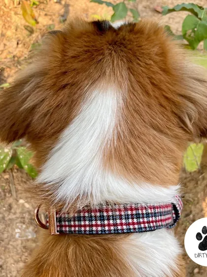 A close-up of our plaid check collar from the winter collection. The rose gold buckle adds a beautiful contrast to the classic pattern.