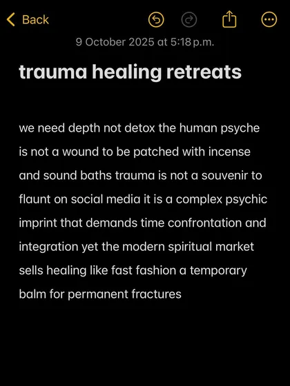 The modern spiritual market sells healing like fast fashion: a temporary balm for permanent fractures. We need depth, not a quick detox.