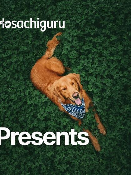 Another poster for our Pawsh Runway event, because our four-legged friends deserve all the celebration.