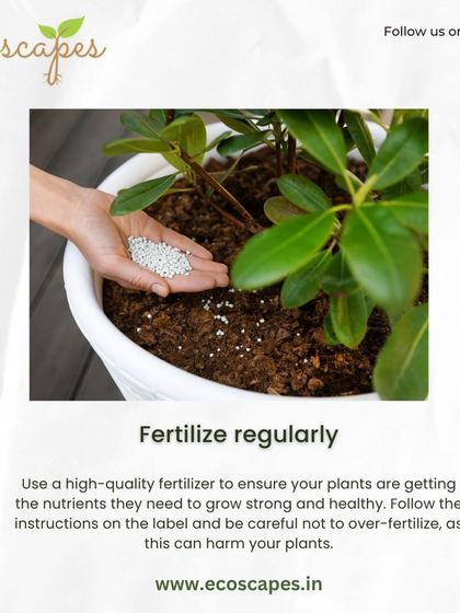 Ecoscapes Landscaping - Urban Gardening & Green Walls Urban Gardening Guides photo 11