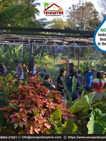 Nature looks even more beautiful in the rain, especially in our dedicated rain dance area. It's a great way to have fun, no matter the weather.