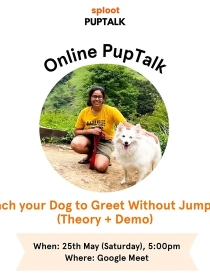 Does your dog jump on guests? It's a common issue, but one that can be solved with understanding and the right techniques. This is an example of one of my live online PupTalks where I demonstrate how to teach your dog to greet people politely.