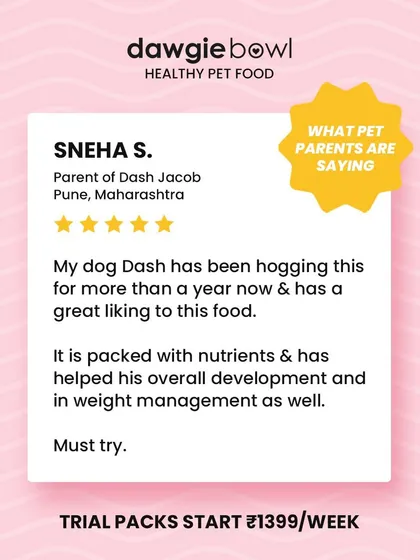 This review from Pune highlights two key benefits: our food is packed with nutrients for overall development and helps with weight management. A must-try for any dog parent.