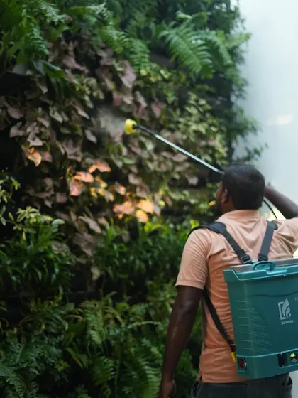 Our commitment doesn't end after installation. We offer expert maintenance services, like caring for this extensive green wall, to ensure your plantscapes remain healthy, vibrant, and beautiful for years to come.