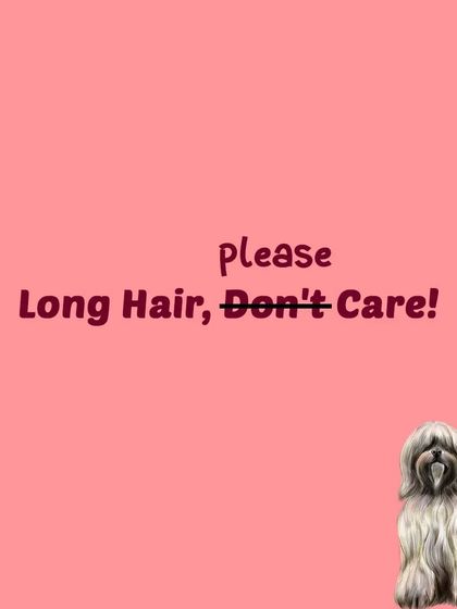 Tail It Easy - Mobile Pet Grooming Pet Parent Pro-Tips photo 8