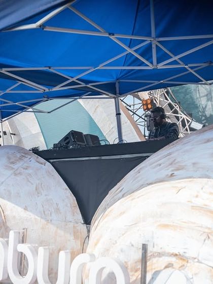 Festival Mainstage & Arena Gigs photo 24