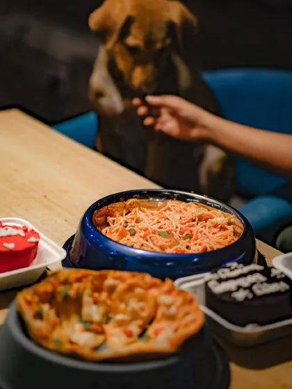 We're not just about cakes! We have a whole menu of gourmet treats for your dog, including dog-friendly pasta and pizza. Here's a peek at a birthday feast we prepared.