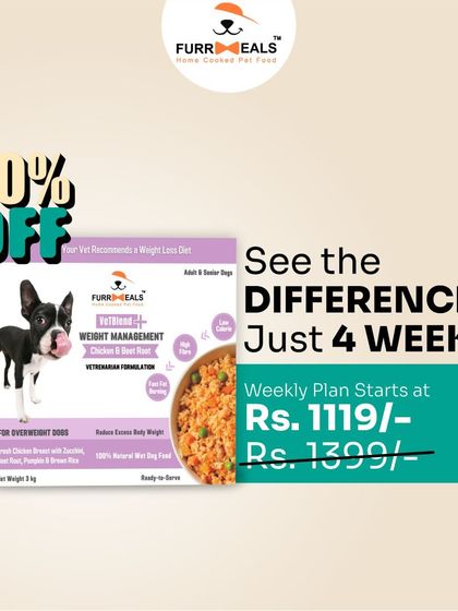 This collection of infographics and product shots provides a comprehensive guide to understanding, preventing, and managing dog obesity with my specialized diet plans and responsible treating tips.