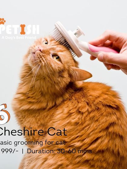 Petish Grooming - Mobile Grooming for Dogs & Cats Our Grooming Packages photo 13