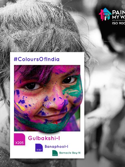 Paint My Walls - Painting Services Free Color Consultation & Inspiration photo 26