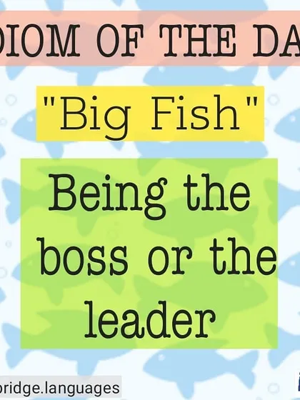 This post explains the idiom 'Big Fish'. Learning common expressions like this helps you understand native speakers better and improves your own conversational fluency.