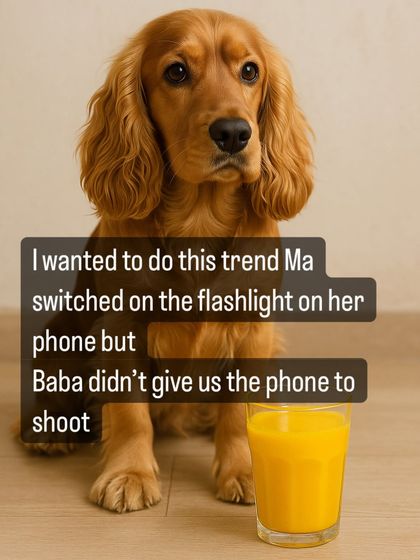 We tried to do the Haldi trend, but Baba wouldn't give us the phone to shoot. A funny meme on a missed opportunity.