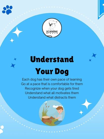 Tip 1: Understand Your Dog. Every dog learns at a different pace. Recognizing their individual needs, motivations, and limits is the first step to patient training.