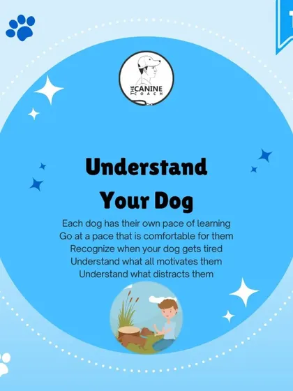 The first step to patience is understanding your dog. Each dog learns at their own pace, has different motivators, and gets tired. Recognizing their unique needs is key.