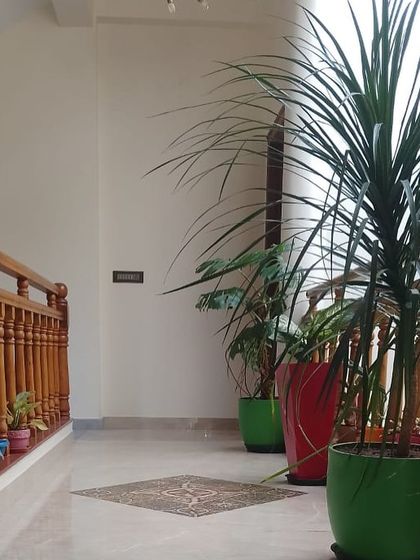 Make My Garden - Nursery & Gardening Store (Retail) Indoor & Air Purifying Plants photo 18