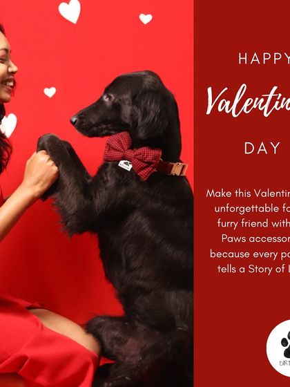 Happy Valentine's Day. This photo from my campaign reminds us that every pawprint tells a story of love.