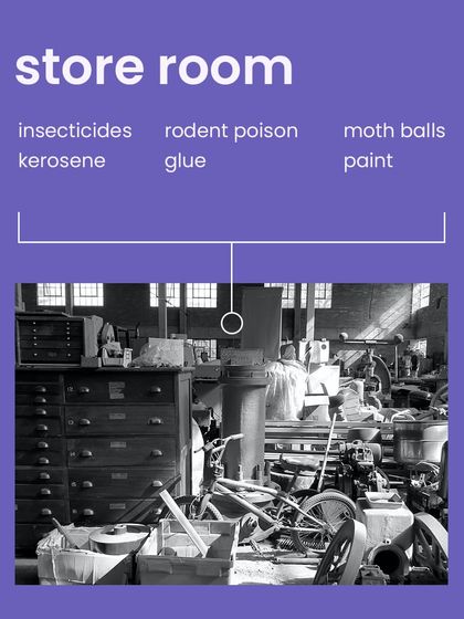 The store room or garage can be one of the most dangerous areas. This checklist highlights toxins like insecticides, rodent poison, and paint that must be kept away from pets.