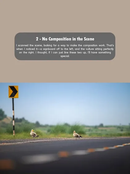At first, there was no clear composition. Then I noticed the signboard and the vulture, and I knew if I could line them up, I would have something special.