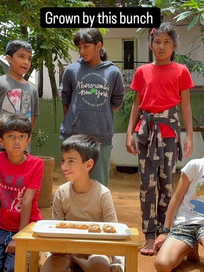 The Earth School - Montessori Primary & Elementary Program Hands-On Science & Nature Study photo 36