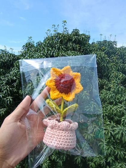 Cheerful Potted Plants photo 83