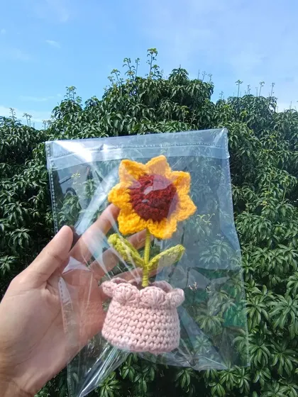 A single potted sunflower in a clear pouch, another great option for retail-ready products.