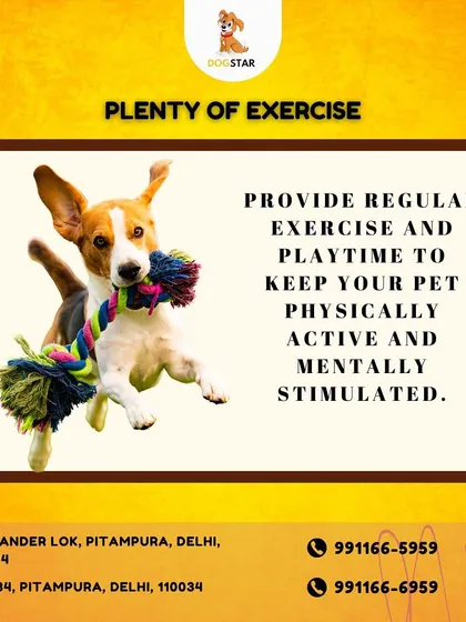 An active pet is a happy pet. I stock a wide variety of toys that encourage regular exercise and playtime, keeping your pet physically fit and mentally sharp.