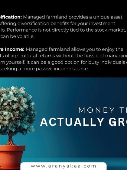 We offer money that actually grows. Managed farmland provides unique portfolio diversification away from volatile markets and allows you to enjoy agricultural returns without the hassle of day-to-day management.