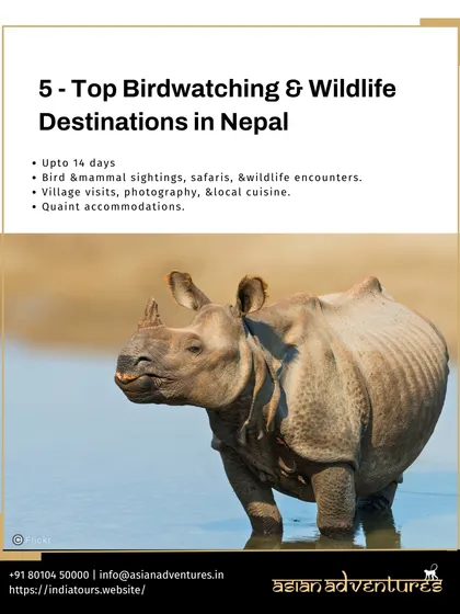 An infographic for our Nepal birdwatching and wildlife tour, showcasing the Greater One-horned Rhino. This tour covers key sites like Chitwan and Bardia for incredible mammal and bird sightings.