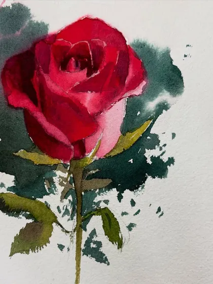 A watercolor painting of a single red rose. This piece is a study in capturing the soft, velvety texture of the petals and the subtle variations in color.