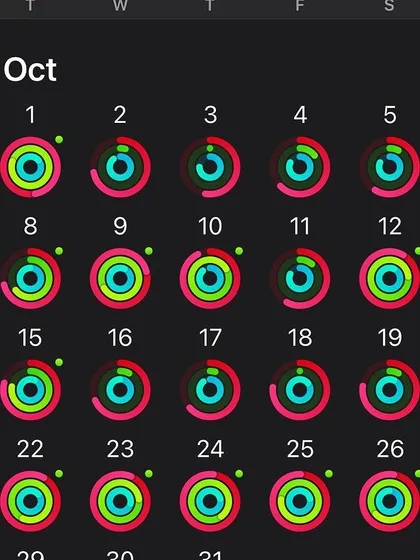 Tracking my progress is not about perfection, but about persistence. These are my daily activity logs, showing my commitment to consistent movement, exercise, and hitting my step goals.