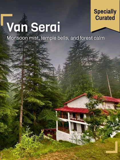 A view of Van Serai lodge through the misty deodar forest during the monsoon. We offer a specially curated experience to enjoy the rain-washed beauty and tranquility of the Himalayas.