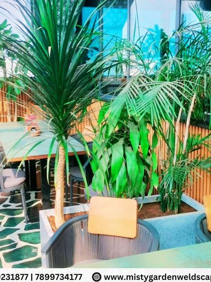 We integrated planters directly into the layout of this commercial terrace, using a mix of palms and other ornamental plants to add greenery without sacrificing seating space. The stone pattern flooring adds another layer of texture.