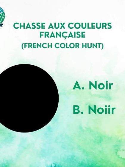 Time for a French color hunt. Is the correct spelling for black 'Noir' or 'Noiir'? Choose option A or B.