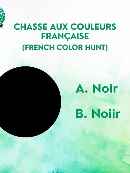 Time for a French color hunt. Is the correct spelling for black 'Noir' or 'Noiir'? Choose option A or B.