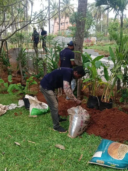 Planting in progress at a large residential site. We are adding new plants around existing trees, using our custom potting mix to give them the best start. This layered approach adds depth and texture to the garden design.