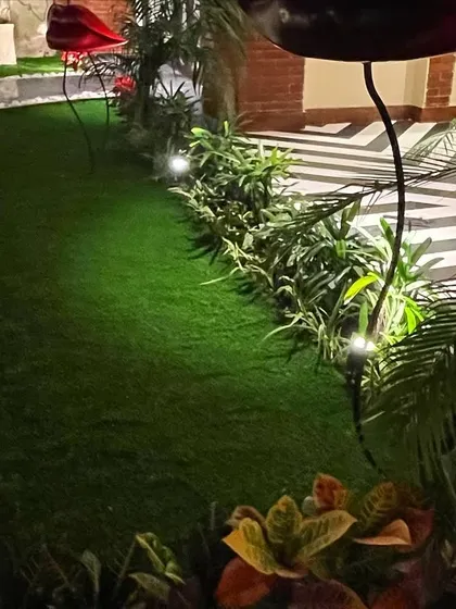 A winding garden path at night, edged with a brick border and white river stones. Low-voltage spotlights are placed within the plant beds to highlight the foliage and create a soft glow.
